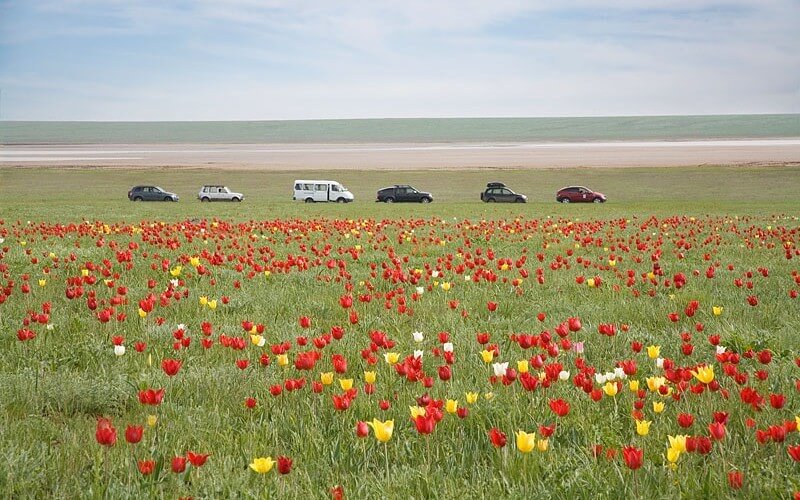 Калмыкия