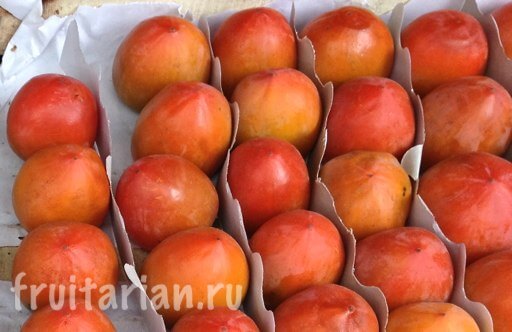 Хурма_шарон