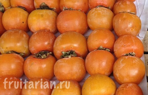 Ранний_королек_2