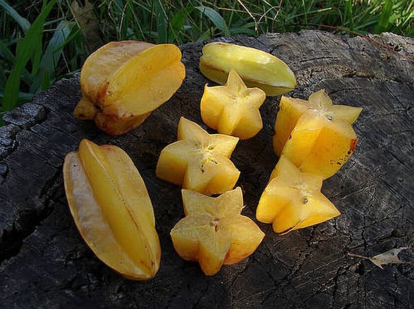 Карамболь