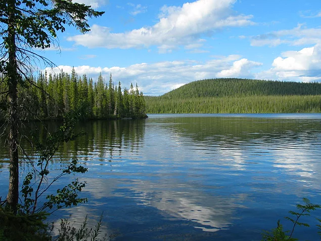 Лапландский заповедник 1