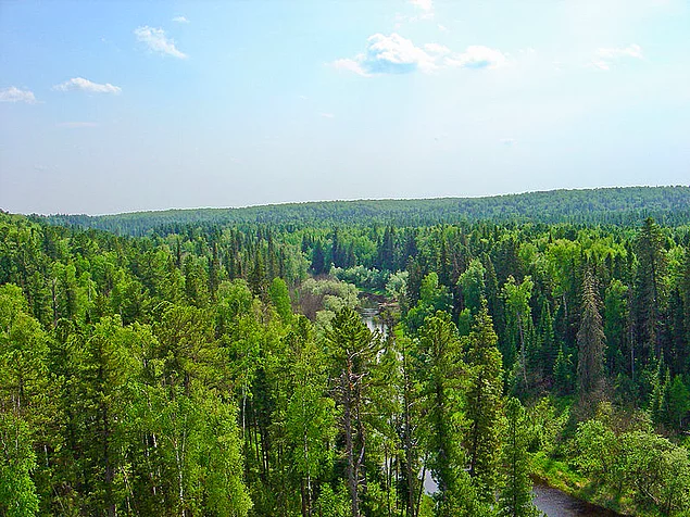 Юганский заповедник 1