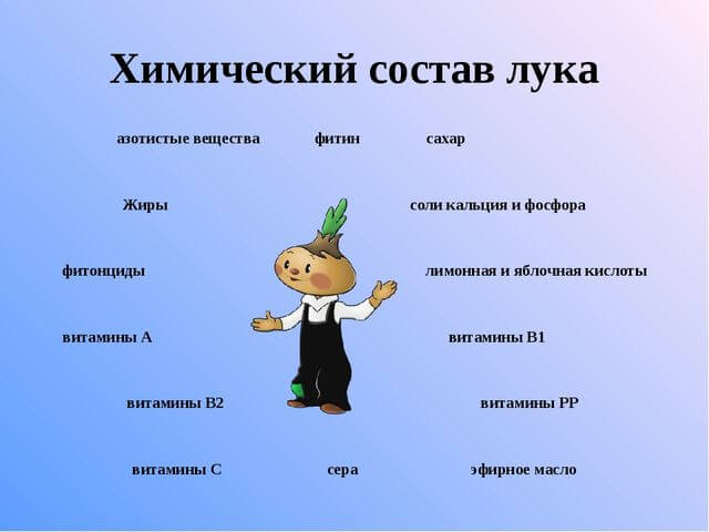 Состав лука