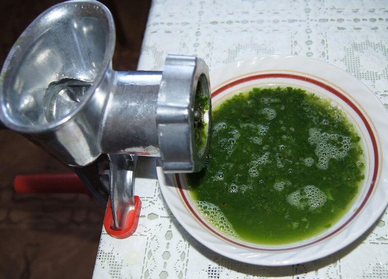 Приготовление алоэ дома
