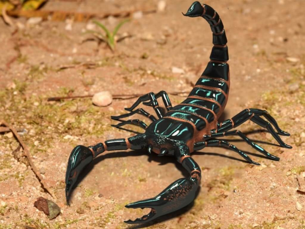 Скорпион